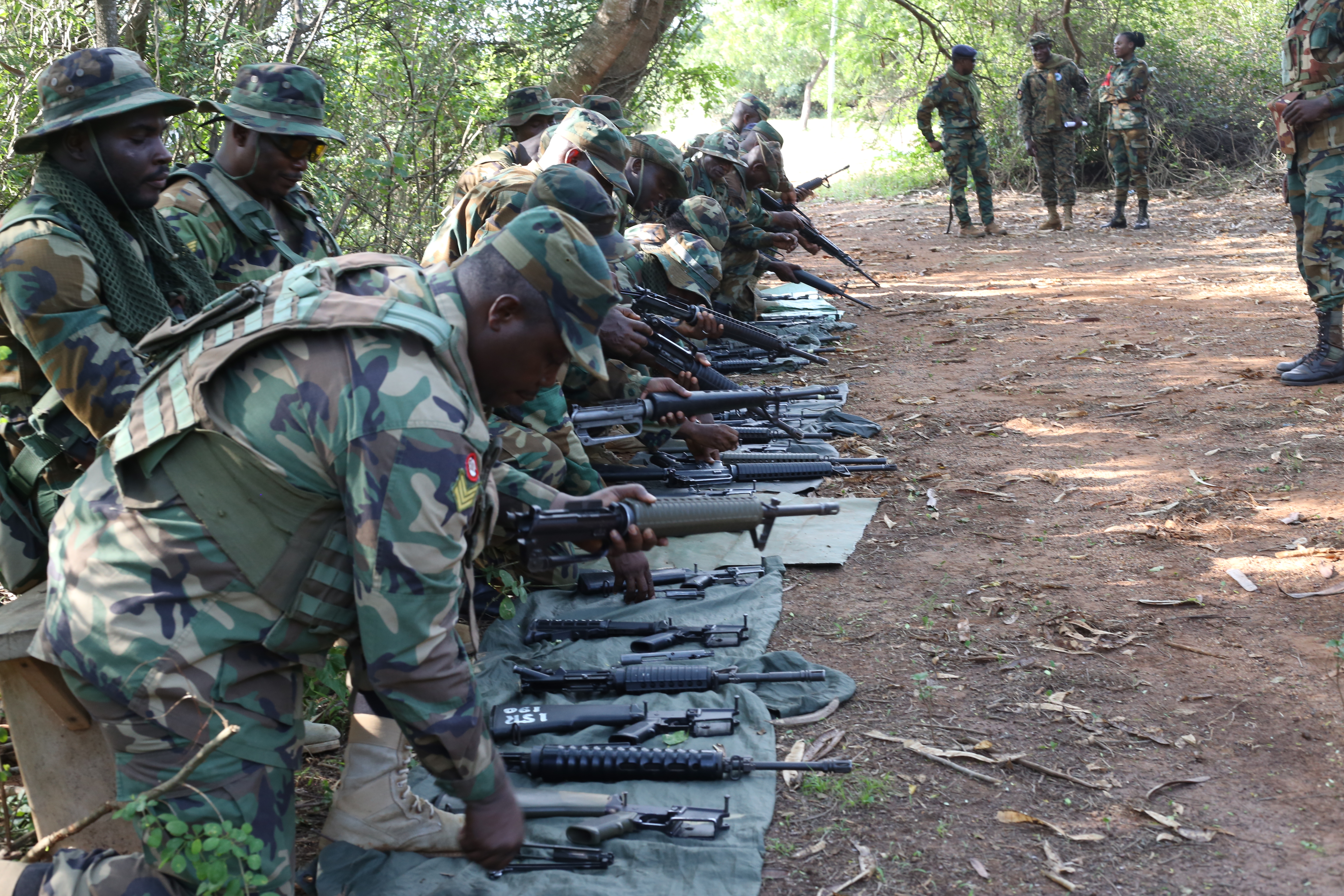 Academic and Special Programs Wing