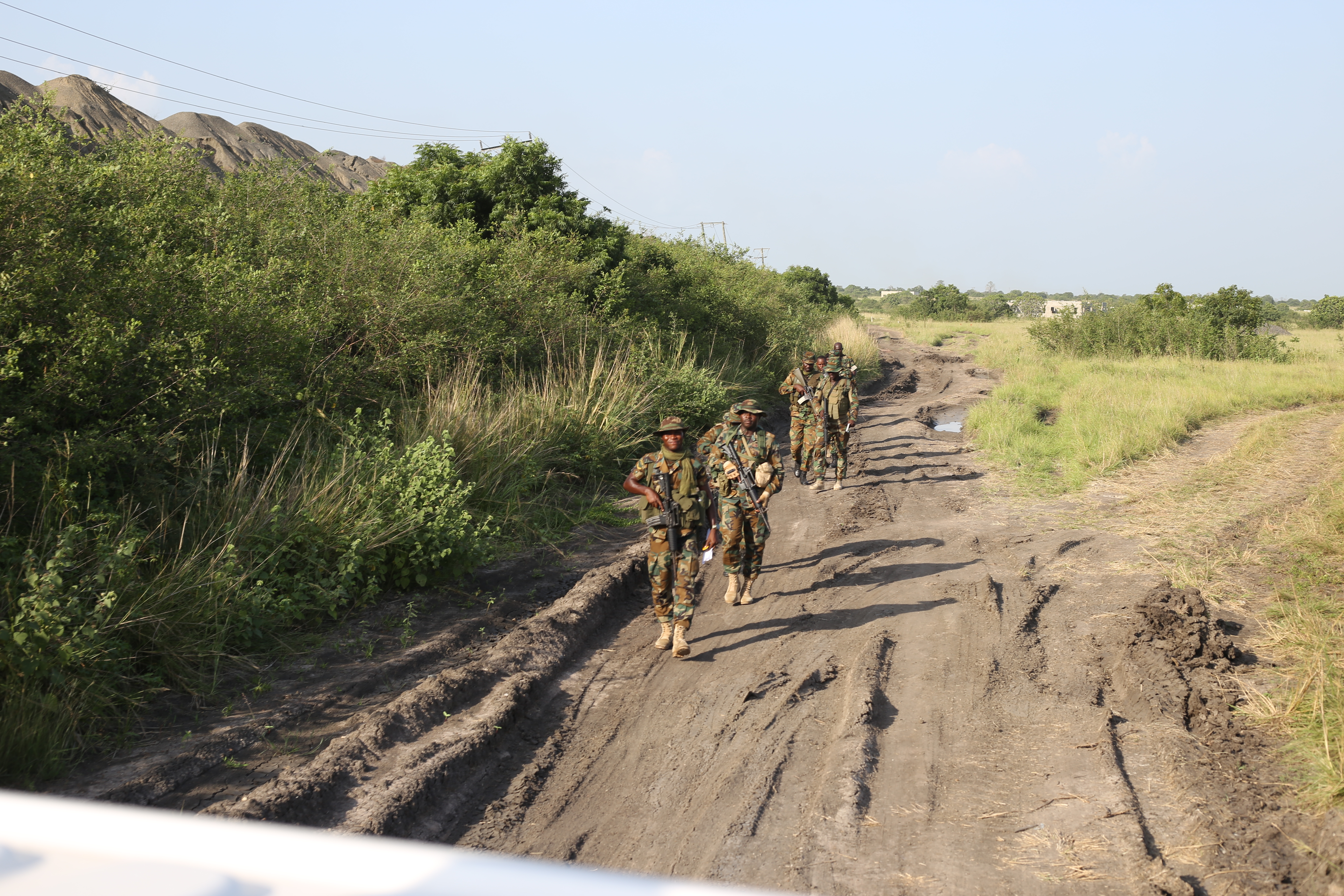 Orthopedics Services